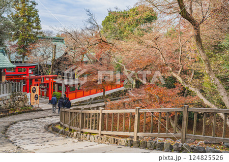犬山市にある犬山城周辺の三光稲荷神社と猿田彦神社の風景(愛知県) 124825526