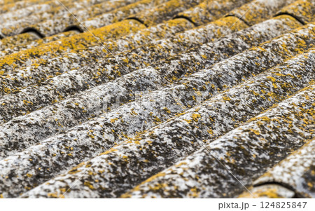 The old roof 124825847