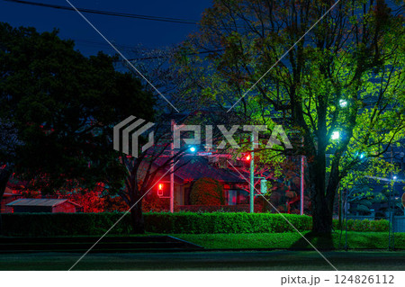 夜の信号機 124826112