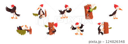 Funny Woodpecker Bird in Different Pose Vector Set 124826348