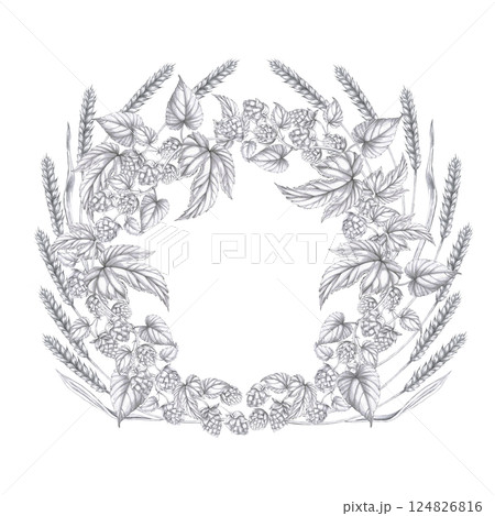 Round wreath with hop branches and rye ears. Isolated pencil illustration on the theme of beer in a realistic style for the design of beer products, interior and menu of bars and restaurants 124826816