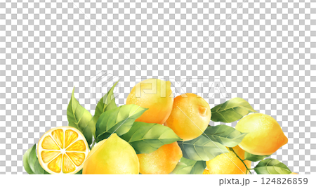 Hand drawn illustration with yellow lemons fruit and green leaves. Organic healthy food 124826859