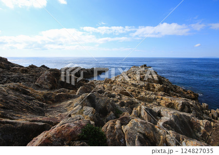 高知県土佐清水市　白碆灯台周辺の風景 124827035