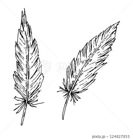 Vector illustration of two hand-drawn feathers in rustic black and white style. Great for boho wedding invitations, tribal-inspired projects, natural branding, and ethnic textile patterns. Vector illustration of two hand-drawn feathers in rustic black and white style. Great for boho wedding invitations, tribal-inspired projects, natural branding, and ethnic textile patterns. 124827853