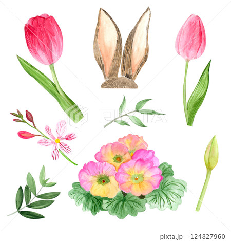 Watercolor spring flowers, hand-drawn illustration, tulips rabbit, primrose 124827960