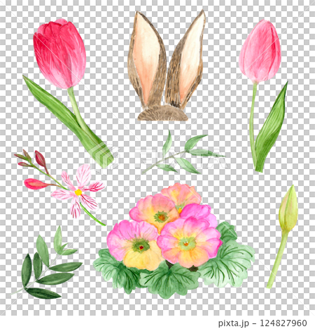 Watercolor spring flowers, hand-drawn illustration, tulips rabbit, primrose 124827960