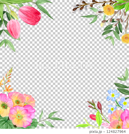 Watercolor square frame. Spring flowers, hand-drawn illustration, tulips, willow, primrose. 124827964