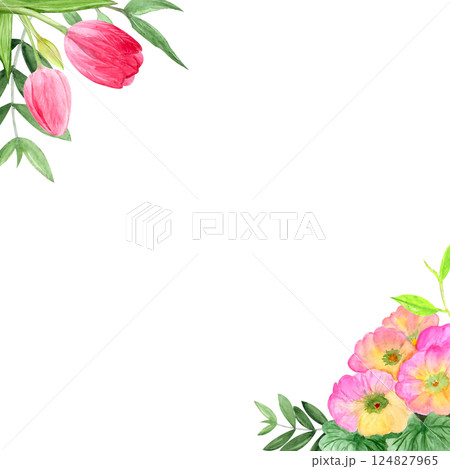 Watercolor spring flowers, hand-drawn illustration, tulips, primrose 124827965