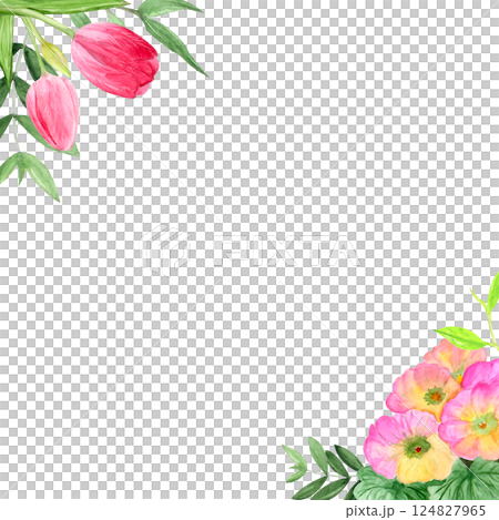 Watercolor spring flowers, hand-drawn illustration, tulips, primrose 124827965
