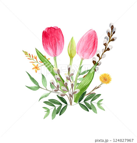 Watercolor spring flowers, hand-drawn illustration, tulips, willow, mother-and-stepmother 124827967