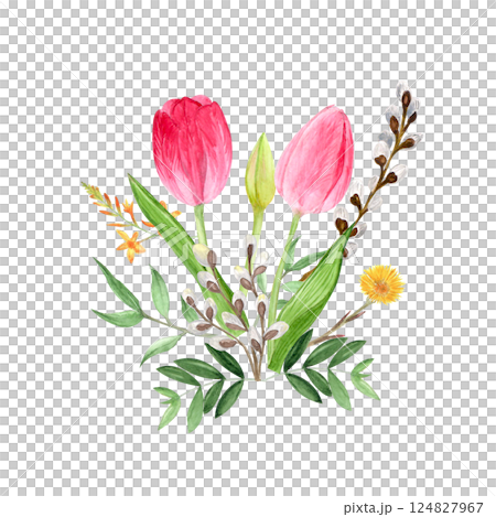 Watercolor spring flowers, hand-drawn illustration, tulips, willow, mother-and-stepmother 124827967