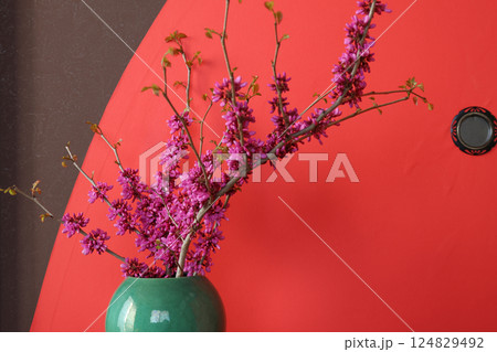 花瓶にいけた花蘇芳 124829492