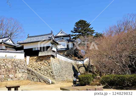 備中松山城二の丸からの天守と隅櫓 備中松山城二の丸からの天守と隅櫓 124829832