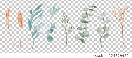 Watercolor Branches Isolated Set. Eucalyptus, Spikelets of Wheat or Rye, Dry yellow Tansy. Hand drawn Nature illustration on a white background. Design elements for cards, prints and patterns. 124829982