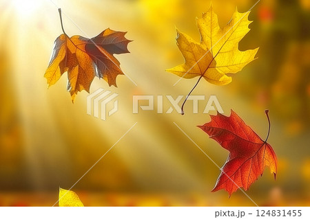 Colorful Autumn Landscape with Foliage in the Park Under Soft Sunlight Beams 124831455
