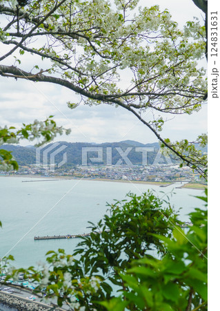 【千葉県南房総市】大房自然公園方面から見た富浦湾(原岡海岸) 【千葉県南房総市】大房自然公園方面から見た富浦湾(原岡海岸) 124831631