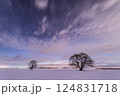 冬の北海道　はるにれの木と雲の間から見える星空 124831718