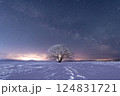 冬の北海道　霧氷したはるにれの木と天の川 124831721