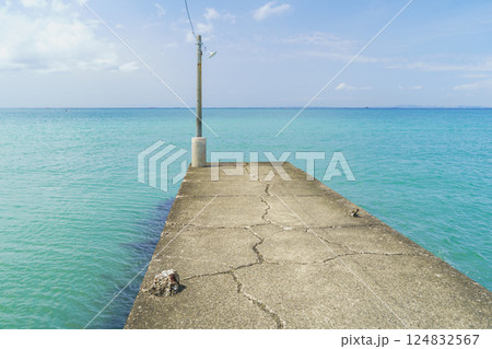 【千葉県南房総市】岡本桟橋(原岡桟橋) 124832567