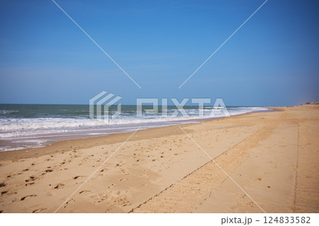 Vehicle tire tracks on wide sandy beach under blue sky along ocean coastline 124833582