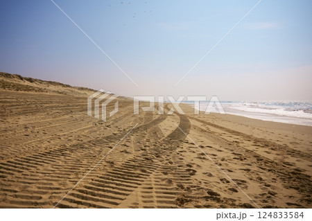 Tire tracks on empty sandy beach under clear sky near calm ocean waves Tire tracks on empty sandy beach under clear sky near calm ocean waves 124833584
