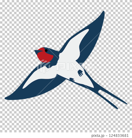 Vector illustration of a swallow flying in the sky 124833681