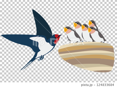 一組燕子幼鳥和父母乞討食物的向量插圖 一組燕子幼鳥和父母乞討食物的向量插圖 124833684