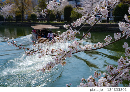 京都　岡崎疎水鴨東運河　岡崎十国船 124833801