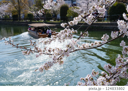 京都　岡崎疎水鴨東運河　岡崎十国船 124833802