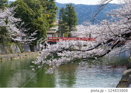 京都　岡崎疎水鴨東運河　岡崎十国船 124833808