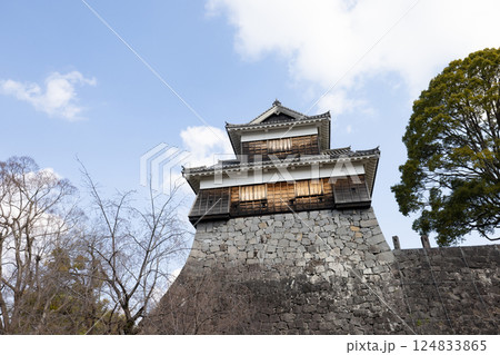 熊本城　観光 124833865