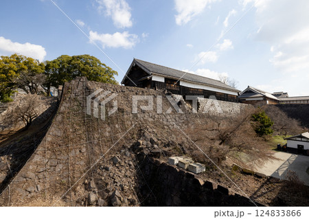 熊本城 観光 熊本城 観光 124833866