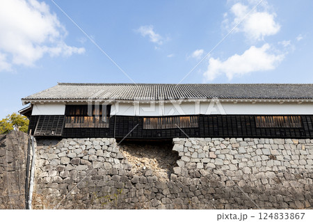 熊本城　観光 124833867