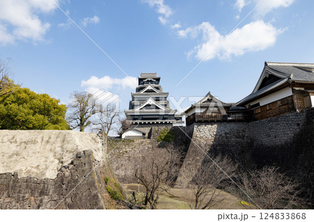 熊本城　観光 124833868