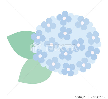 かわいい紫陽花のベクターイラスト 124834557