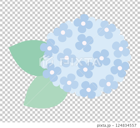 Cute hydrangea vector illustration 124834557