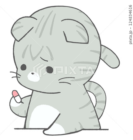 悲しげに薬を見つめるキジトラ猫 124834616
