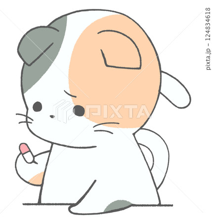 悲しげに薬を見つめる三毛猫 124834618