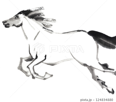 走る姿の馬　水墨画 124834880