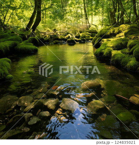 水のある風景 124835021