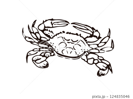 蟹リアル 124835046