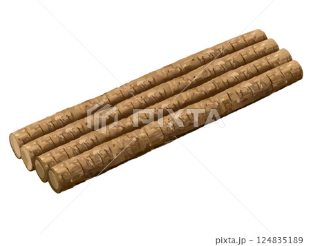 ごぼう ごぼう 124835189