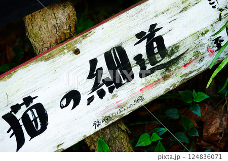 広島県尾道市にある人気観光スポットである猫の細道 広島県尾道市にある人気観光スポットである猫の細道 124836071
