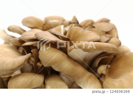 香り高いマイタケ 124836169