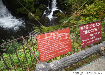 日光　竜頭の滝（栃木県日光市） 124836377