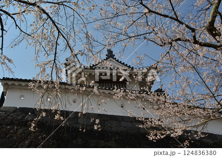 宮城県白石城 宮城県白石城 124836380