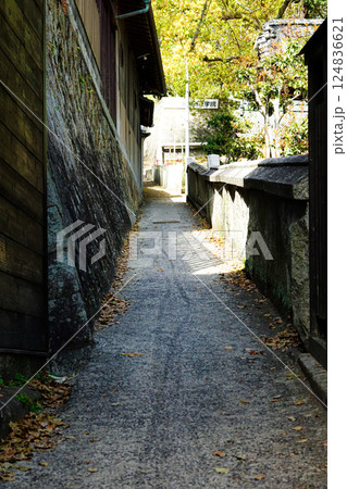 尾道市の猫の細道の路地から見た風景 124836621