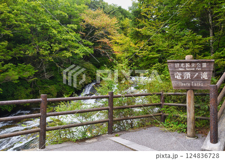 日光 竜頭の滝遊歩道(龍頭の滝遊歩道)栃木県日光市 日光 竜頭の滝遊歩道(龍頭の滝遊歩道)栃木県日光市 124836728