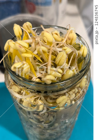 Bean sprouts Bean sprouts 124836745