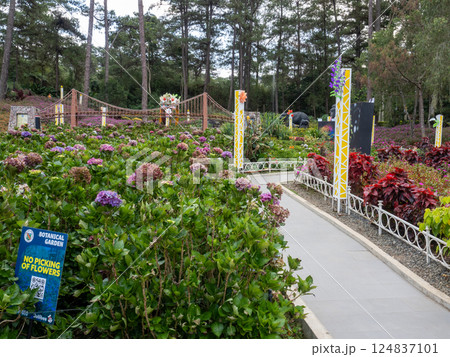 バギオで撮影した写真 124837101